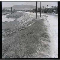 藏品(高雄市建國二路)的圖片