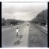 藏品(高雄市建國二路)的圖片