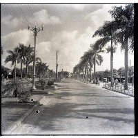 藏品(高雄市火車站到大圓環馬路)的圖片