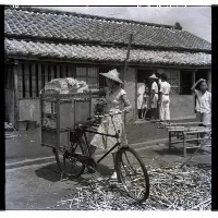 藏品(賣化妝品的婦人（賣化妝品的女販）)的圖片