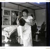 藏品(理髮師傅)的圖片