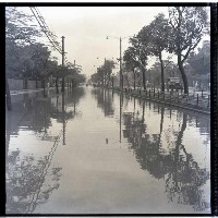藏品(大雨過後)的圖片