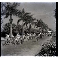 藏品(暑期青年騎自行車旅行)的圖片