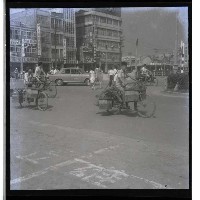 藏品(騎車取糞便)的圖片