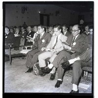 藏品(辨識牌)的圖片