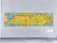 藏品(臺灣遊覽地圖鳥瞰圖)的圖片
