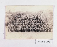 藏品(臺灣兵南京合照)的圖片