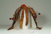 藏品(繡花盤龍神袍-1)的圖片