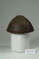 藏品()的圖片
