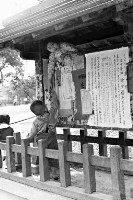 藏品()的圖片