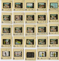 藏品()的圖片