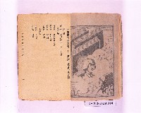 藏品()的圖片