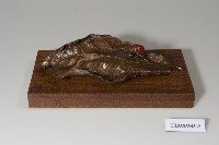 藏品(銅雕：落葉歸根)的圖片