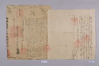 藏品(杜賣契)的圖片