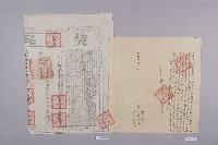 藏品(絕賣契)的圖片