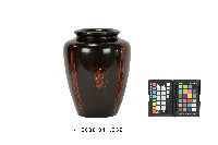 藏品(磨顯填漆昆蟲紋瓶)的圖片