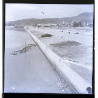 藏品(高雄市運河)的圖片