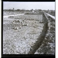 藏品(高雄市三民區大順路)的圖片