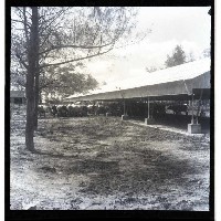 藏品(高雄市高大牧場)的圖片