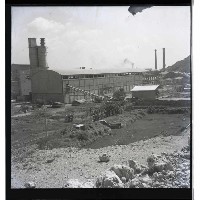 藏品(台灣水泥公司)的圖片