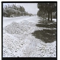 藏品(高雄市建國路)的圖片