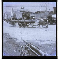 藏品(牛車托運原木)的圖片