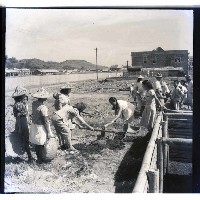 藏品(市民義務勞動時)的圖片