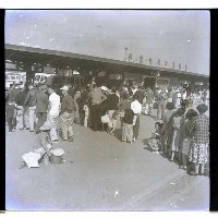 藏品(搭高雄市公車)的圖片