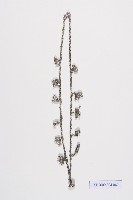 藏品(銀十二生肖項鍊)的圖片