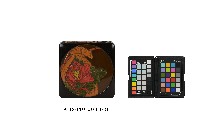 藏品(雕刻彩繪花卉紋方形漆盤)的圖片