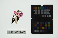 藏品(皮影戲偶頭 生)的圖片