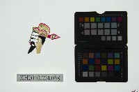 藏品(皮影戲偶頭 生)的圖片