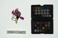 藏品(皮影戲偶頭 生)的圖片