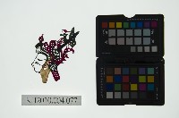 藏品(皮影戲偶頭 生)的圖片