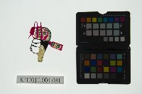藏品(皮影戲偶頭 生)的圖片
