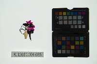 藏品(皮影戲偶頭 旦)的圖片