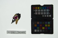 藏品(皮影戲偶頭 淨)的圖片