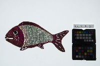 藏品(皮影戲動物偶-魚)的圖片