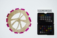 藏品(皮影戲道具偶-輪子)的圖片