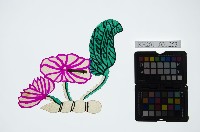 藏品(皮影戲道具偶-蓮花)的圖片