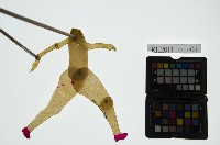 藏品(皮影戲簽桿立身偶-妖婦或妖怪（偶身）)的圖片