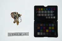 藏品(皮影戲偶頭-旦)的圖片