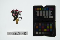 藏品(皮影戲偶頭-旦)的圖片