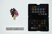 藏品(皮影戲偶頭-旦)的圖片