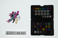 藏品(皮影戲偶頭-旦)的圖片