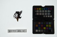 藏品(皮影戲偶頭-旦)的圖片