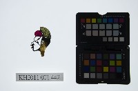 藏品(皮影戲偶頭-丑)的圖片