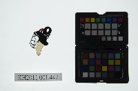 藏品(皮影戲偶頭-旦)的圖片