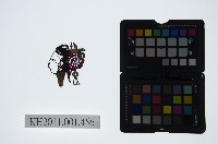 藏品(皮影戲偶頭-旦)的圖片