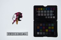 藏品(皮影戲偶頭-旦)的圖片